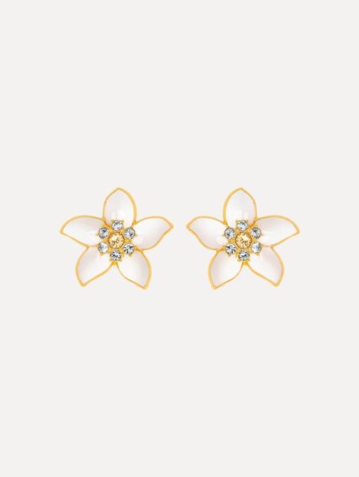 Shopcrave.shop3de29ab1a0 1