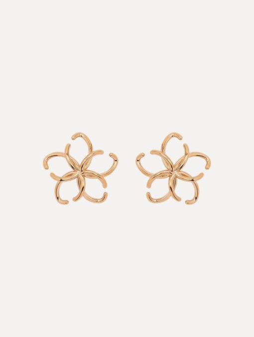 Shopcrave.shop5a001bdf0c 1