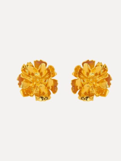 Shopcrave.shopc12aa5f41e 1